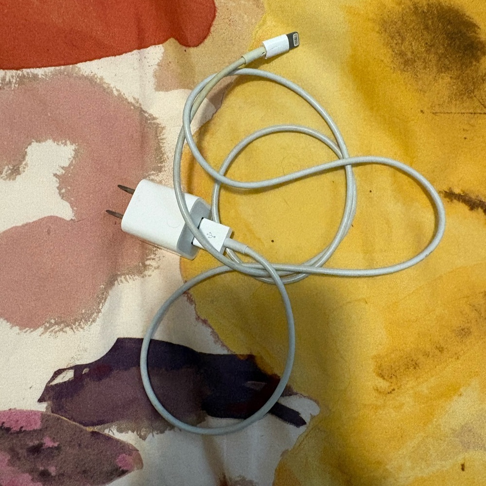 Apple White Lightning Charging Cable with USB Power Adapter